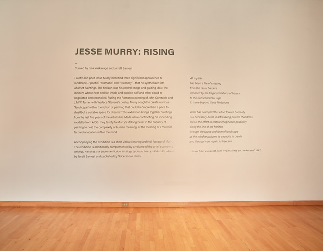 Installation view of Jesse Murry: Rising exhibition at USF Contemporary Art Museum. Photo: Will Lytch.