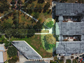 overhead view of usf centarl pathways and trees